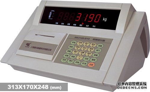  耀华XK3190—D10称重仪表