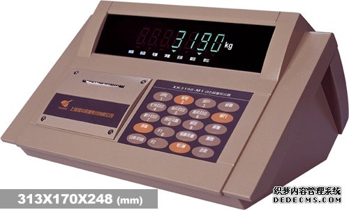 耀华XK3190—DM1称重仪表